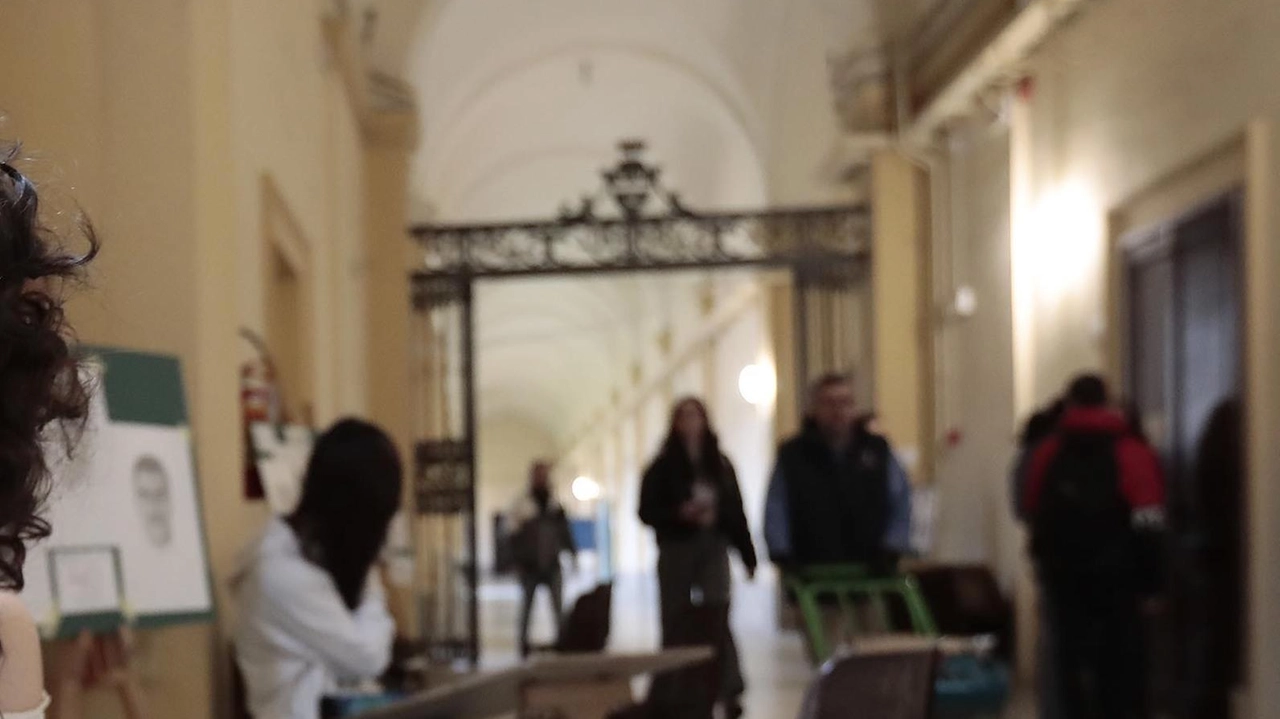 Studenti nei locali del liceo Piccolomini dove sono stati avvistati dei topi, il dirigente ha subito richiesto la disinfestazione Studenti nei locali del liceo Piccolomini dove sono stati avvistati dei topi, il dirigente ha subito richiesto la disinfestazione