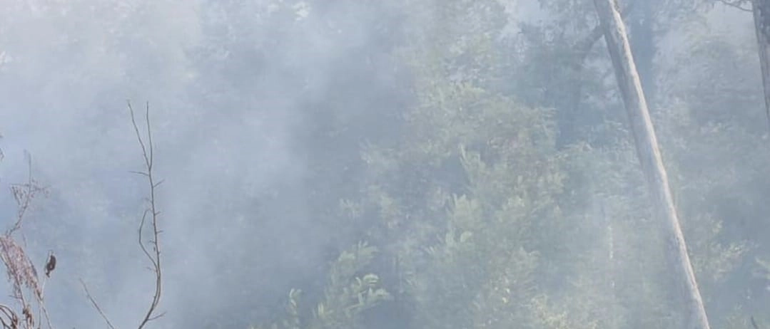 Anche una squadra della sezione castiglionese della Vab impegnata a domare l'incendio che da sei giorni sta devastando il Parco Nazionale del Vesuvio