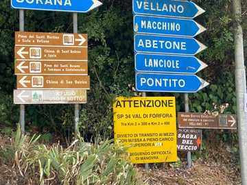 immagine articolo