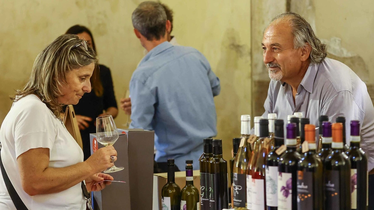 La 26esima edizione si svolgerà dal 10 al 13 ottobre a Certaldo Alto La 26esima edizione si svolgerà dal 10 al 13 ottobre a Certaldo Alto