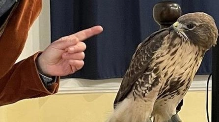 Oggi nel giardino di Villa Ronchiostra incontro con gli esperti per parlare di flora e fauna . Oggi nel giardino di Villa Ronchiostra incontro con gli esperti per parlare di flora e fauna .