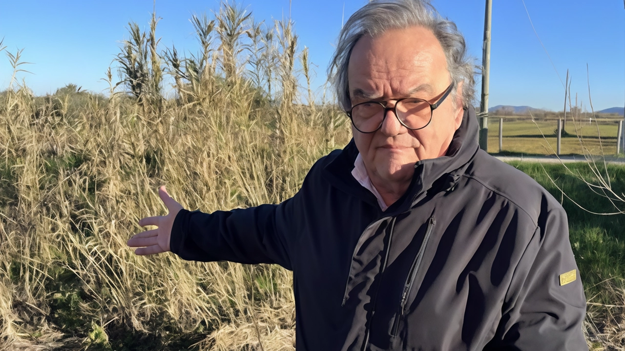 Roberto Barocci (Forum Ambientalista) commenta soddisfatto il voto unanime in Consiglio comunale contro i Pfas Roberto Barocci (Forum Ambientalista) commenta soddisfatto il voto unanime in Consiglio comunale contro i Pfas