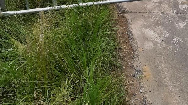 La rete gas del comune di Ponte Buggianese sta per essere estesa, grazie ai lavori di Toscana Energia pronti a... La rete gas del comune di Ponte Buggianese sta per essere estesa, grazie ai lavori di Toscana Energia pronti a...