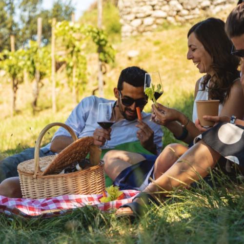L' accordo sui dazi tra USA e UE fa tremare il comparto agroalimentare italiano