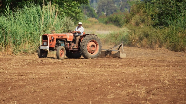 Il Piano 2025 di Regione Liguria per l'agricoltura Il Piano 2025 di Regione Liguria per l'agricoltura