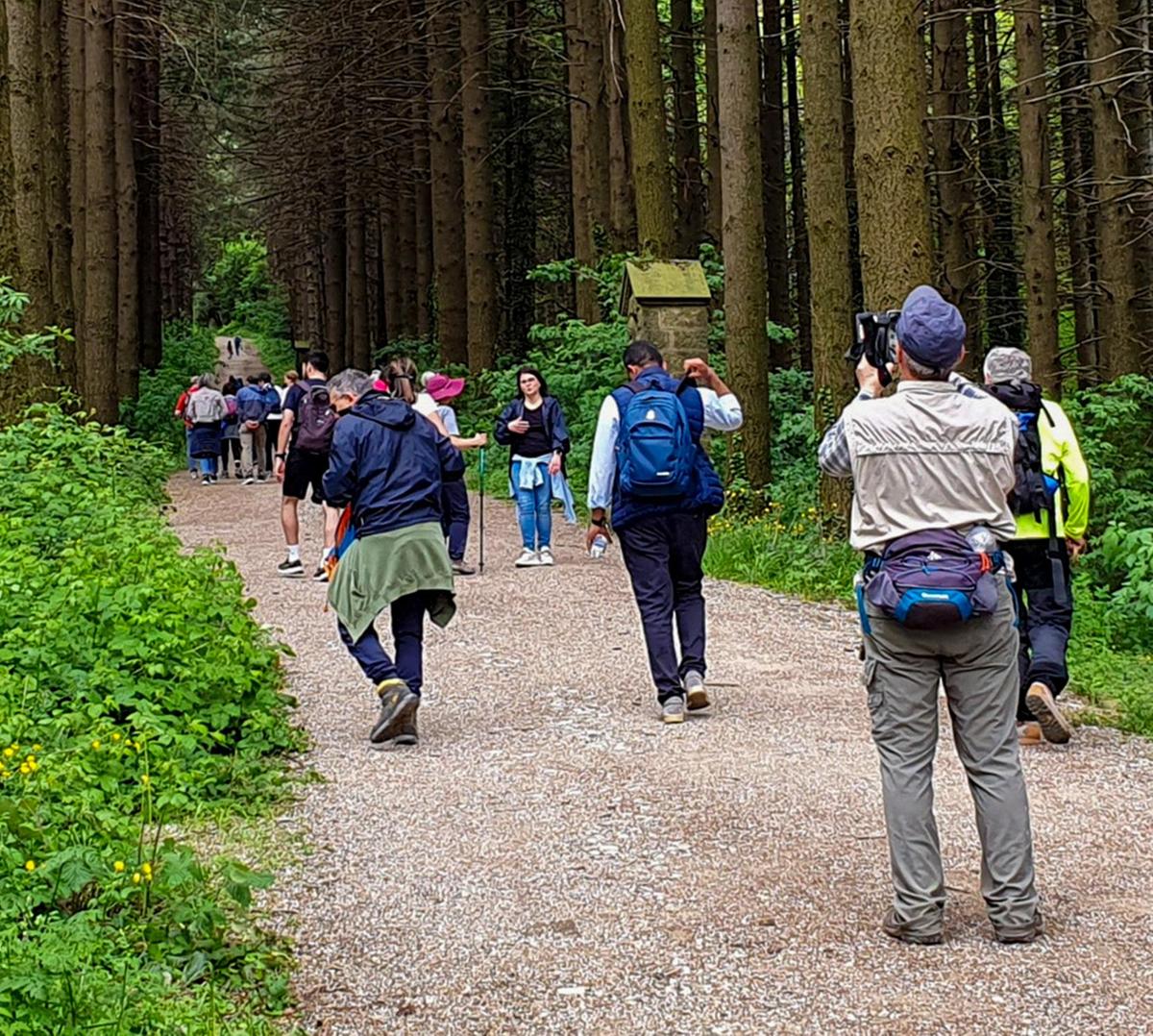 Festival generativo a Vallombrosa. Fra trekking, concerti e mercati