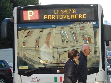 immagine articolo