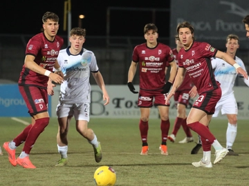 immagine articolo