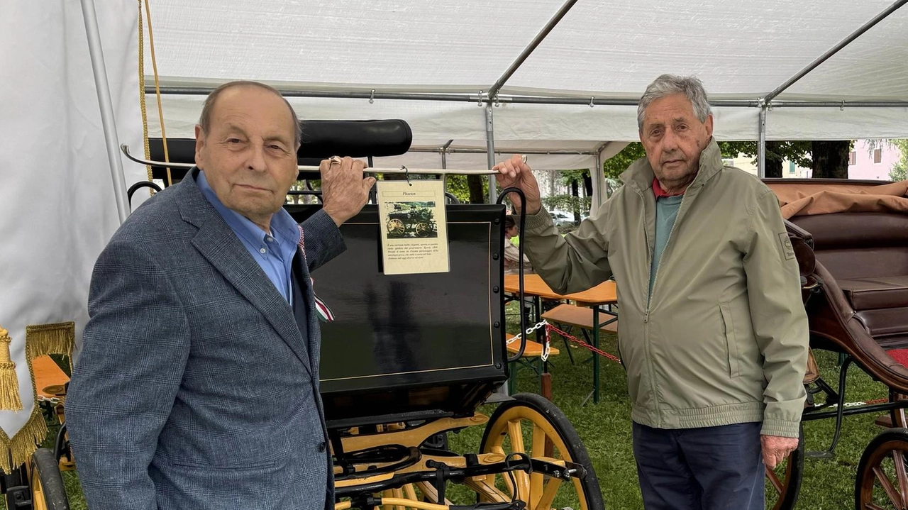 CITTÀ DI CASTELLO - Mostra del cavallo a portata di famiglia, fra storia, tradizione e innovazione. La domenica del week-end...