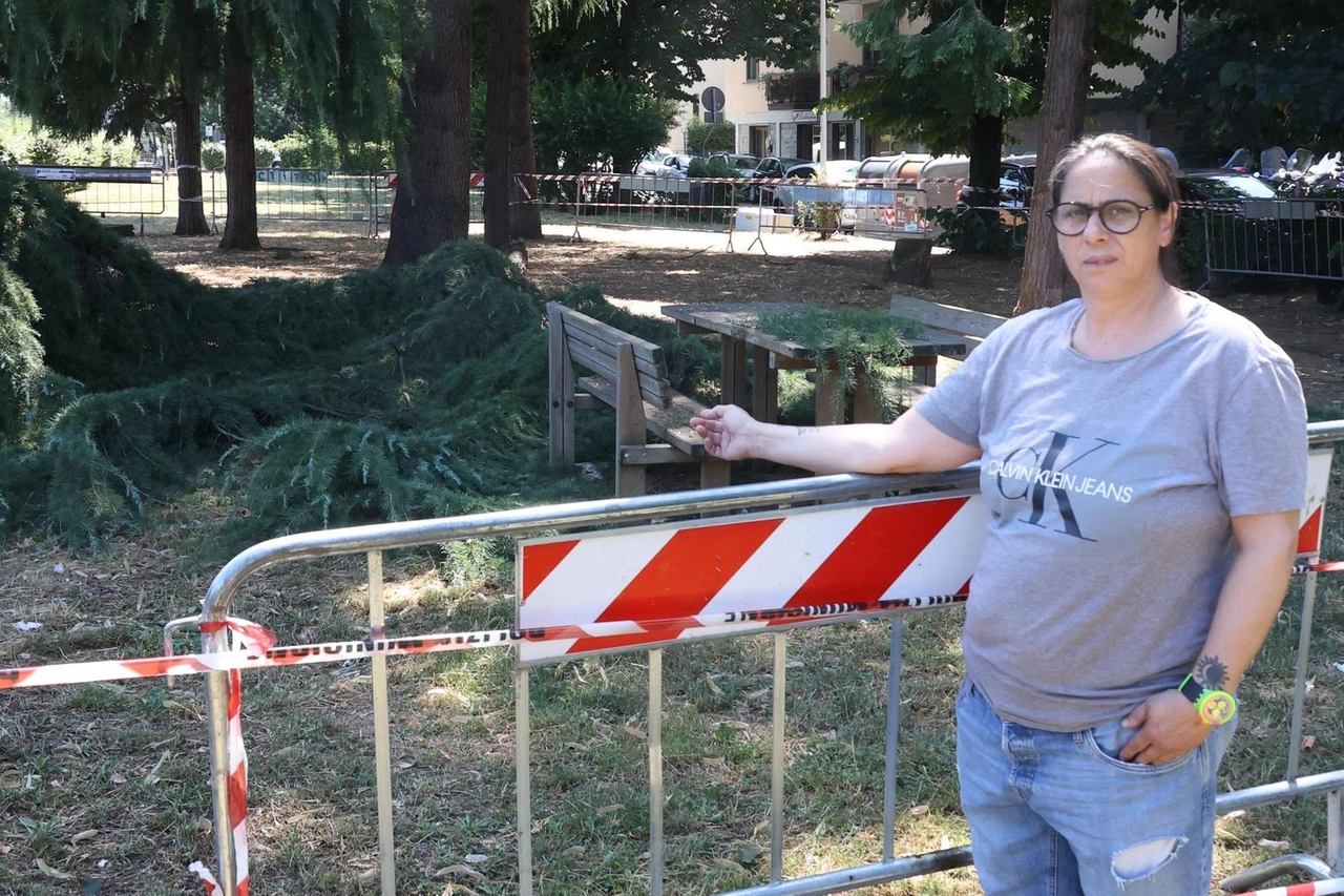 Crolla ramo, donna ferita: "Come una bomba di legno. È stata salvata dal cane". La procura apre inchiesta