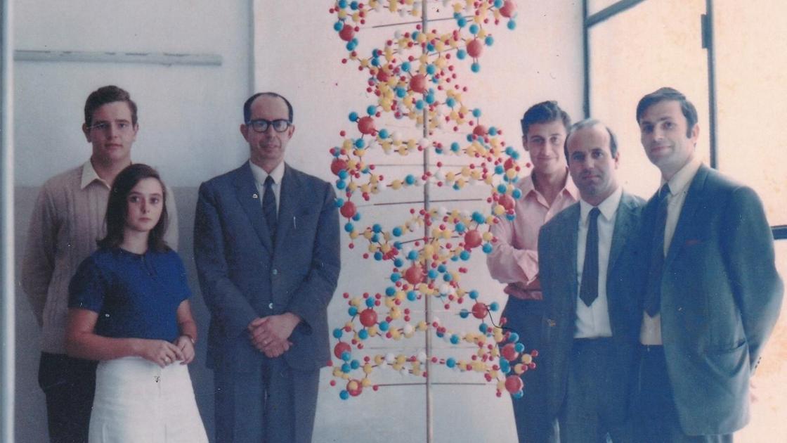 La statua ’dimenticata’. Appello dell’ex docente: "Che fine ha fatto la molecola del Dna?" La statua ’dimenticata’. Appello dell’ex docente: "Che fine ha fatto la molecola del Dna?"