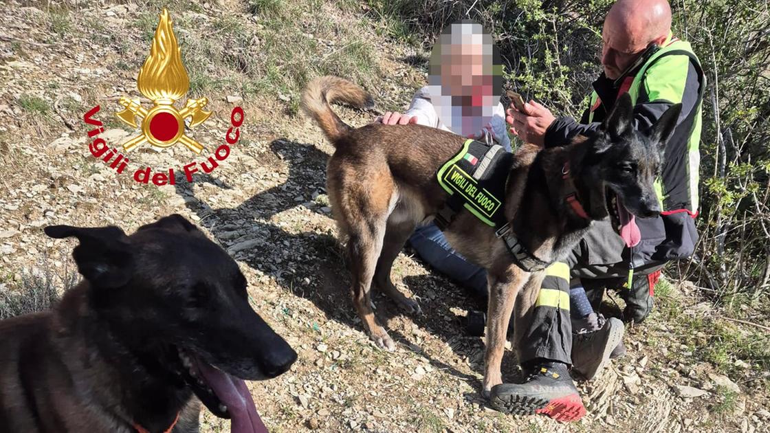 ore di paura per una donna scomparsa nei boschi di sesto fiorentino si alza l elicottero ritrovata