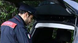 Un controllo dei carabinieri Forestale Un controllo dei carabinieri Forestale