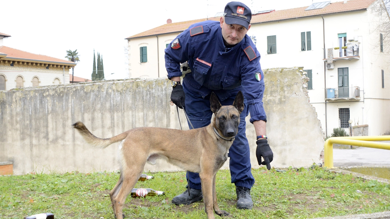 In via Turri segnalate spugnette imbevute di sostanze commestibili. I residenti chiedono più controlli In via Turri segnalate spugnette imbevute di sostanze commestibili. I residenti chiedono più controlli