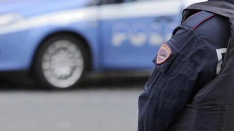 Anche la polizia si è attivata nelle ricerche (Foto di repertorio) Anche la polizia si è attivata nelle ricerche (Foto di repertorio)