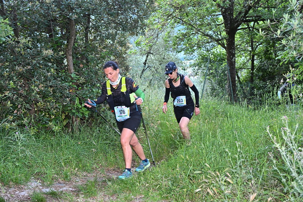 immagine di sfondo 16