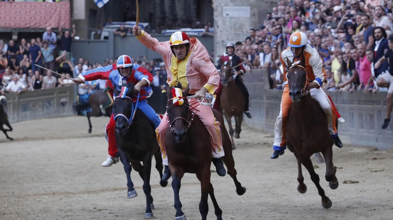 Dopo tredici anni la Contrada di via dei Servi rispetta il ruolo di favorita e torna a festeggiare. Tittia ci prova fino alla fine ma non riesce a recuperare. Lunga mossa, 40 minuti tra i canapi.