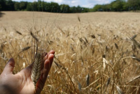 agrofutura ecco il programma della due giorni a firenze le tavole rotonde gli incontri