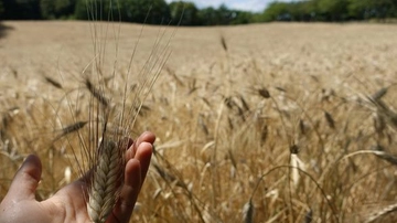 Agrofutura, ecco il programma della due giorni a Firenze: le tavole rotonde, gli incontri