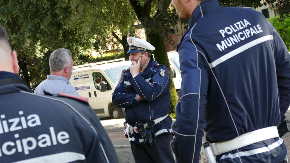Attentato a cani e gatti. “Spugne fritte gettate per strada come esca” Attentato a cani e gatti. “Spugne fritte gettate per strada come esca”
