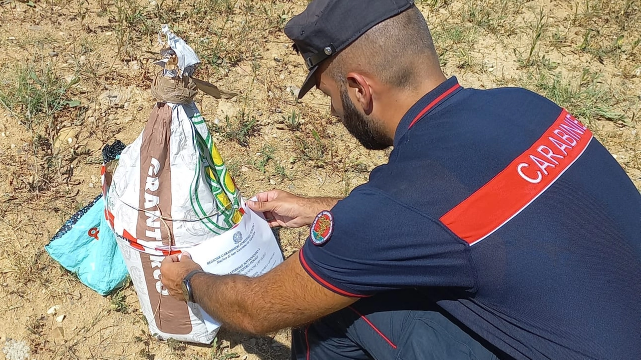I carabinieri intervenuti sul posto con le prove dell'attività illecita I carabinieri intervenuti sul posto con le prove dell'attività illecita