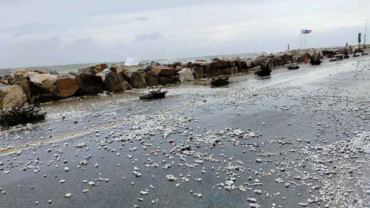 La mareggiata e i «sassini» caduti sulla strada ieri a Marina di Pisa La mareggiata e i «sassini» caduti sulla strada ieri a Marina di Pisa