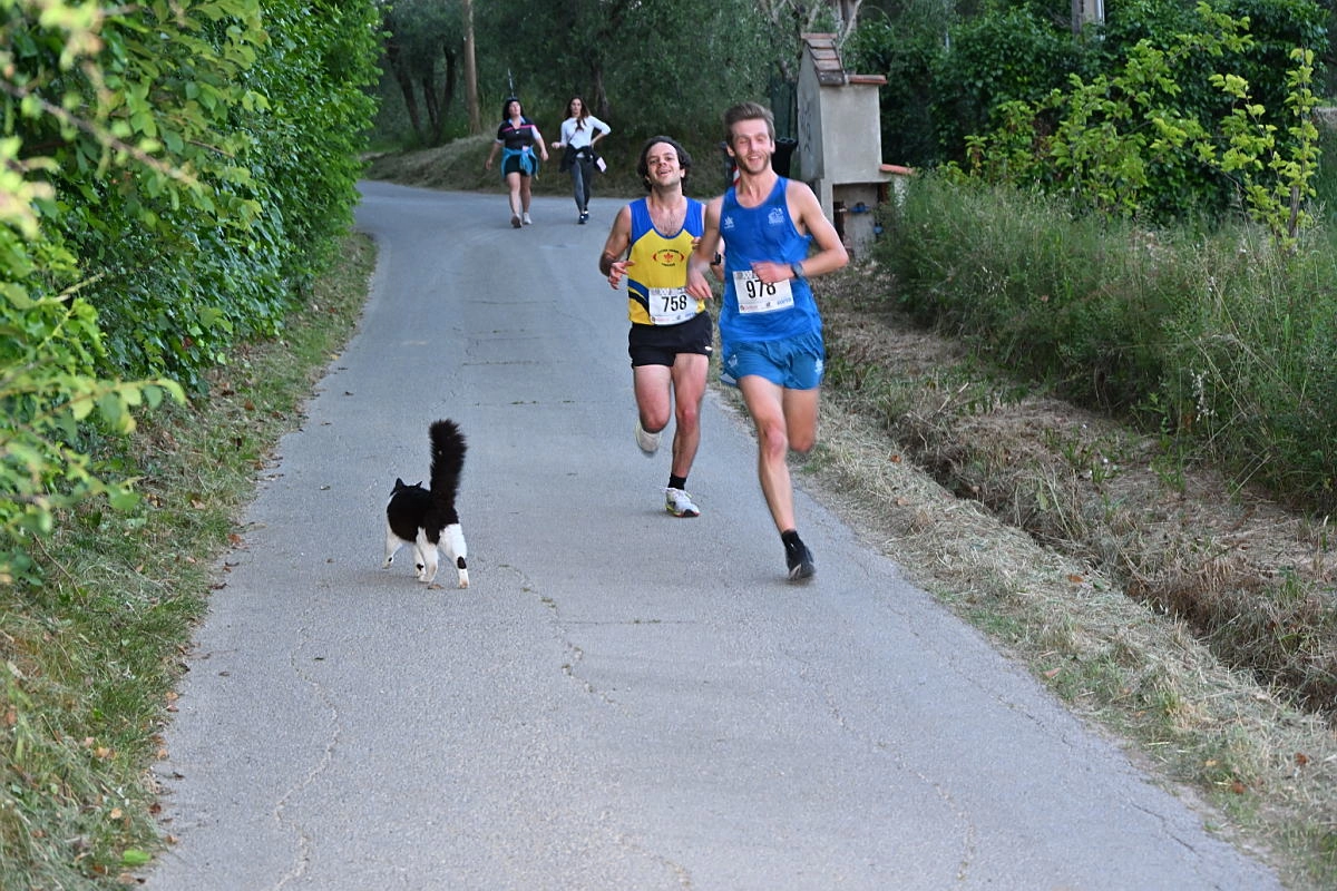 immagine di sfondo 22