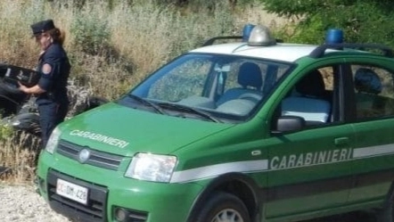 I carabinieri forestali