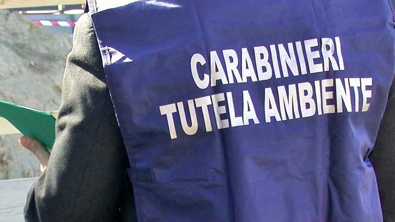 Scoperta una vera e propria filiera del traffico illecito di rifiuti speciali. Dieci imprenditori indagati (foto repertorio)