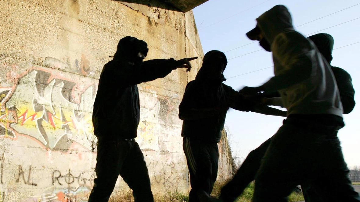 Il sociologo Scalia: "Violenza giovanile in aumento perché la società è sempre più aggressiva. I ragazzi di oggi non riescono più a distinguere il mondo reale da quello virtuale". Il sociologo Scalia: "Violenza giovanile in aumento perché la società è sempre più aggressiva. I ragazzi di oggi non riescono più a distinguere il mondo reale da quello virtuale".