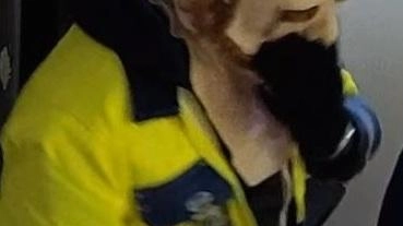 Mentre la banda si era divisa e operava soprattutto nel brindisino uno dei componenti aveva escogitato una tecnica... Mentre la banda si era divisa e operava soprattutto nel brindisino uno dei componenti aveva escogitato una tecnica...