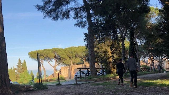 Italia Nostra e associazione Colle della Trinità chiedono alla Regione di non cedere il parco, sottolineando i rischi per la comunità e l'ambiente. Italia Nostra e associazione Colle della Trinità chiedono alla Regione di non cedere il parco, sottolineando i rischi per la comunità e l'ambiente.