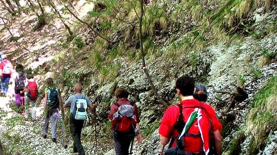 Tornano gli appuntamenti con la pulizia dei sentieri organizzati dal Cai di Prato, ancora una volta, come successe poco prima...