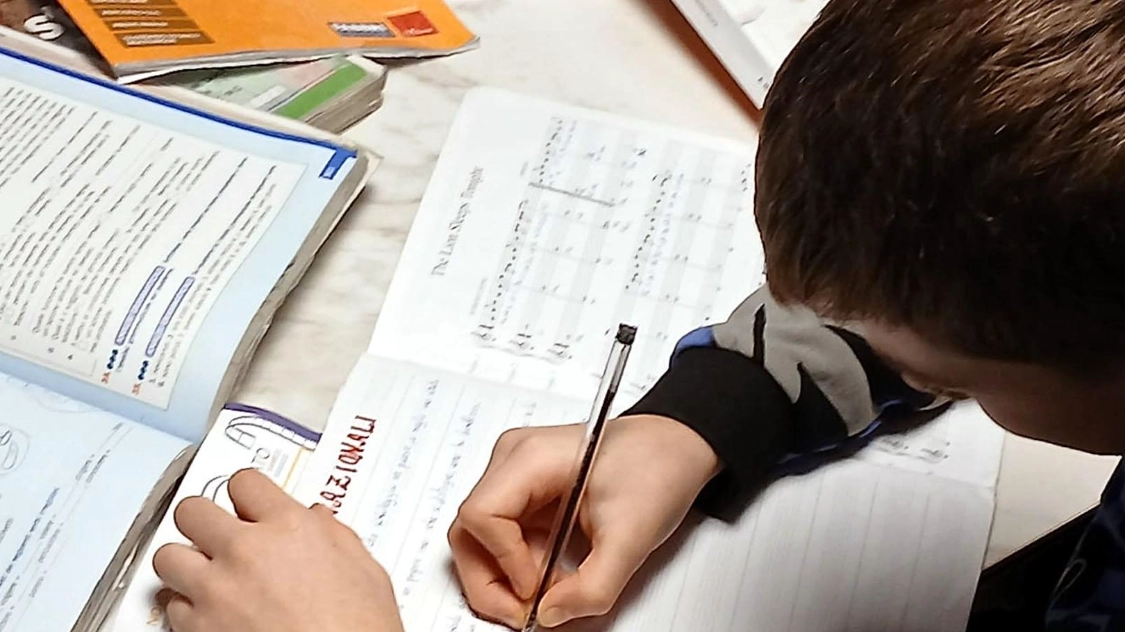Uno studente in una foto di repertorio. La ragazza, bocciata dalla scuola, è stata poi promossa dal Tar Uno studente in una foto di repertorio. La ragazza, bocciata dalla scuola, è stata poi promossa dal Tar