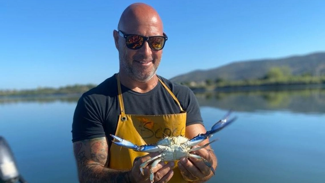 “Nuova invasione di granchi blu. Altra emergenza per la laguna”