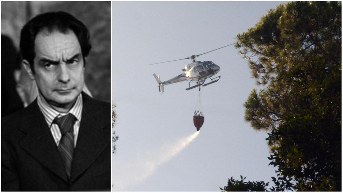 roccamare la pineta di calvino e degli intellettuali del novecento sfregiata dal fuoco