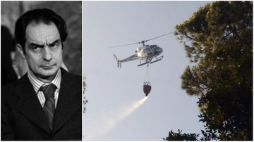 Roccamare, la pineta di Calvino e degli intellettuali del Novecento sfregiata dal fuoco