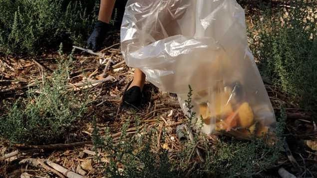 MONTE ARGENTARIO Torna domani l’iniziativa ’Puliamo lo scoglio’. Il Comune di Monte Argentario aderisce all’appuntamento organizzato da La Racchetta Argentario per... MONTE ARGENTARIO Torna domani l’iniziativa ’Puliamo lo scoglio’. Il Comune di Monte Argentario aderisce all’appuntamento organizzato da La Racchetta Argentario per...