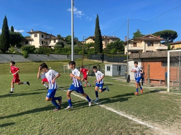 immagine articolo