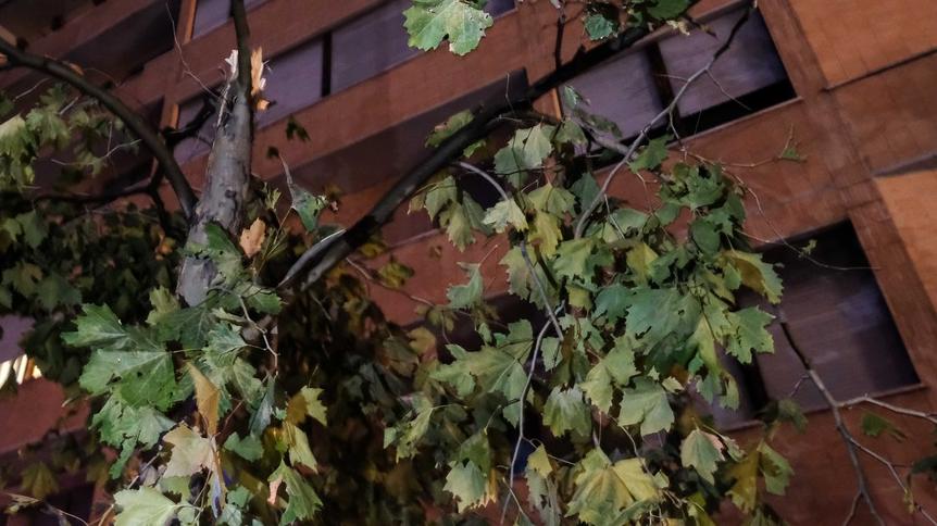 Blackout in alcune zone di Firenze: cosa è successo