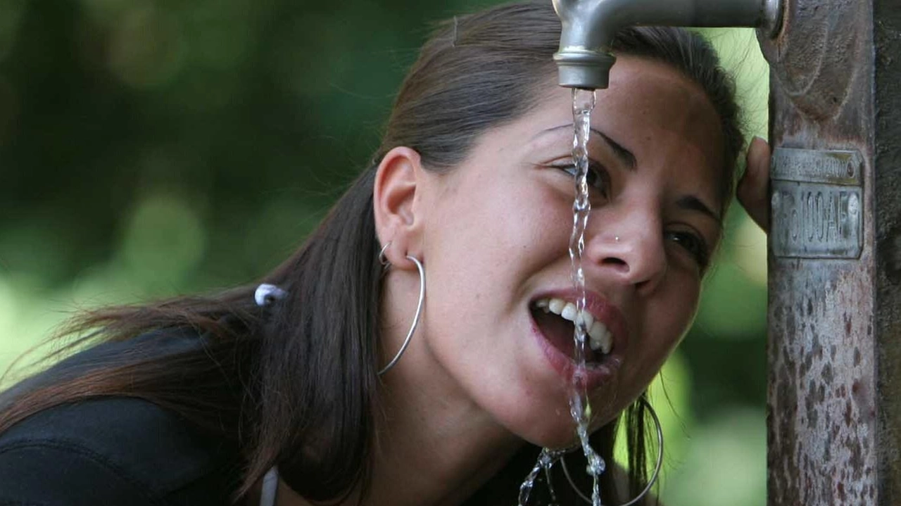 Il Forum «Lucca acqua si-cura bene comune» si batte per il ritorno della gestione della risorsa idrica al cento per cento in mano pubblica Il Forum «Lucca acqua si-cura bene comune» si batte per il ritorno della gestione della risorsa idrica al cento per cento in mano pubblica