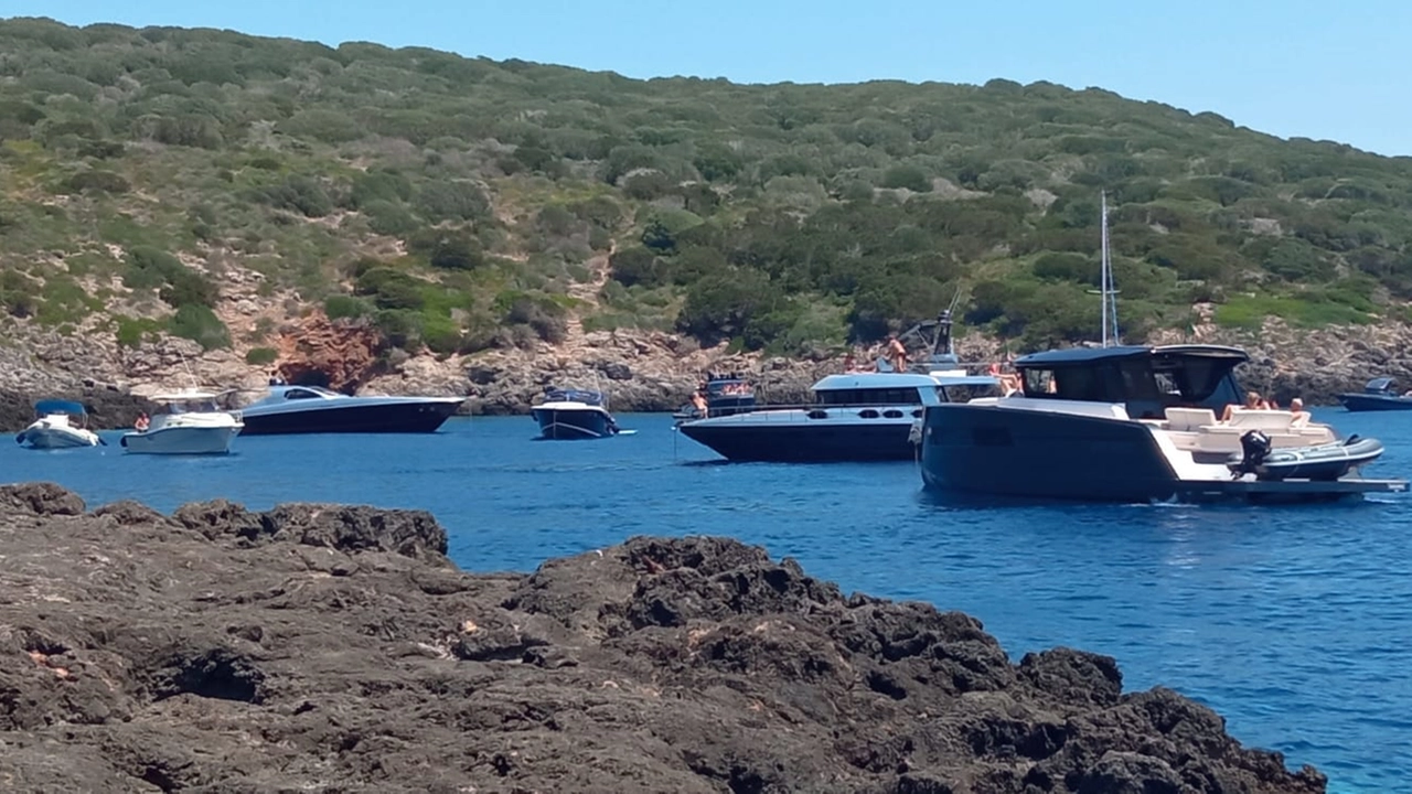 Il Golfo dello Spalmatoio invaso dalle imbarcazioni Il Golfo dello Spalmatoio invaso dalle imbarcazioni