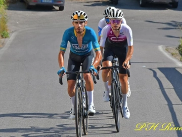 immagine articolo