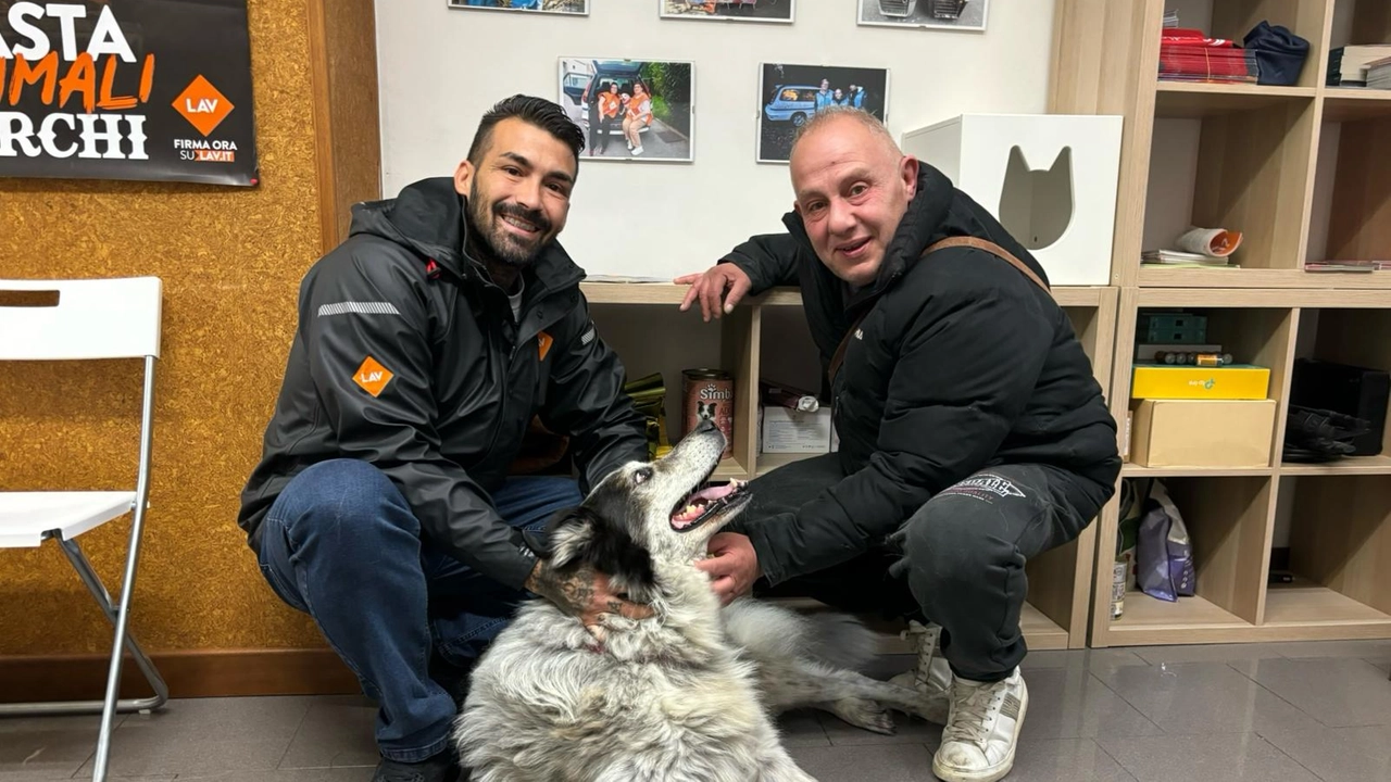 Bobby, Giuseppe e i volontari della sede Lav di prato che li hanno accolti e supportati Bobby, Giuseppe e i volontari della sede Lav di prato che li hanno accolti e supportati