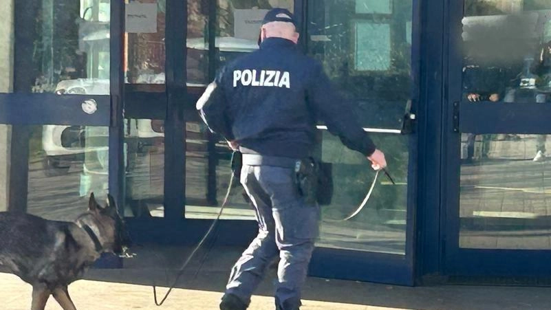 Controlli della polizia Controlli della polizia