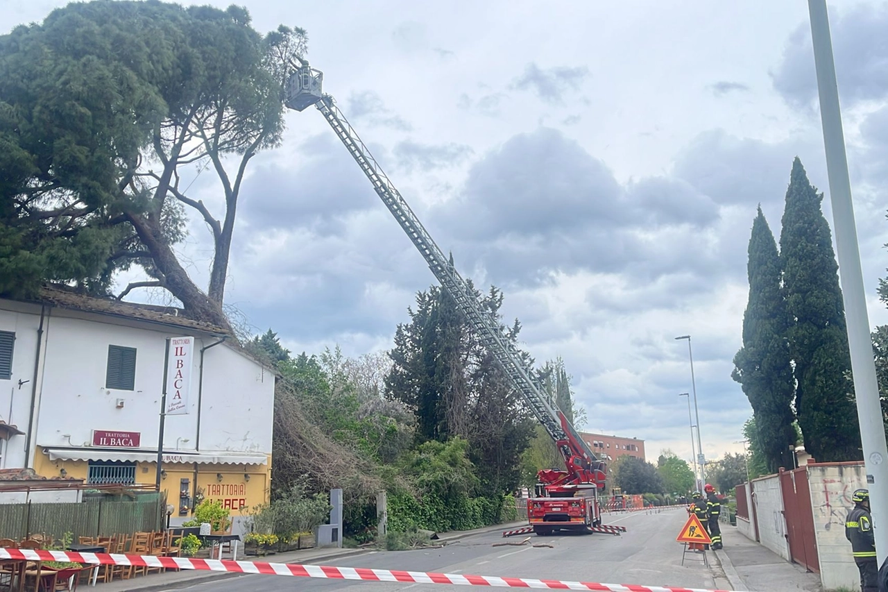 Il pino caduto su una casa