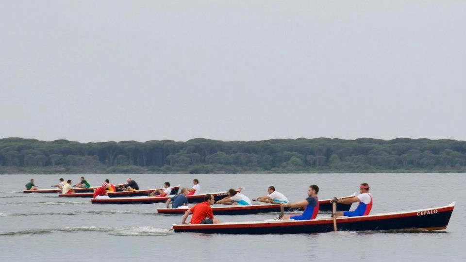La passata edizione della Corsa dei Barchini in laguna. Quest’anno ci sarà anche la gara al femminile La passata edizione della Corsa dei Barchini in laguna. Quest’anno ci sarà anche la gara al femminile