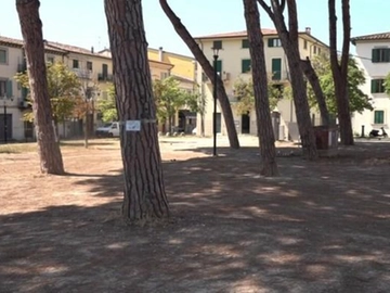 immagine articolo