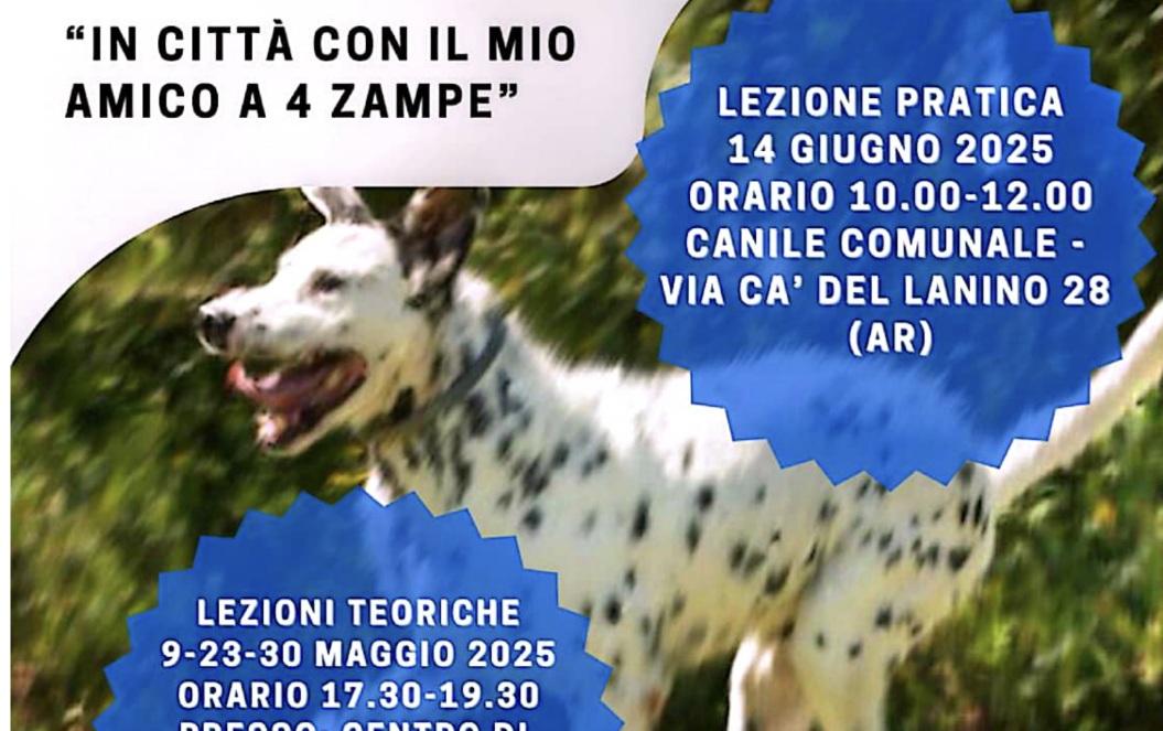 “In città con il mio amico a 4 zampe”, parte il corso gratuito per proprietari di cani “In città con il mio amico a 4 zampe”, parte il corso gratuito per proprietari di cani