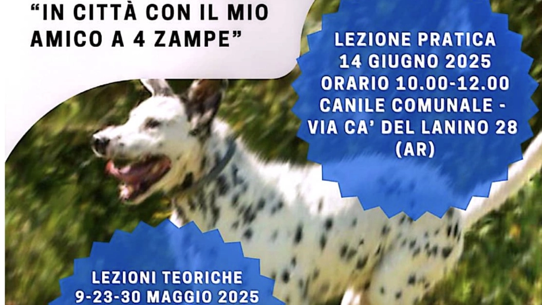 La locandina del corso La locandina del corso